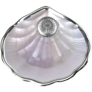 Concha Bautismo Nacar y Plata Laminada Virgen del Pilar.
