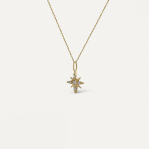 Colgante Estrella Polar Oro 9 K