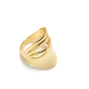 Anillo Pertegaz 394G Plata Chapada